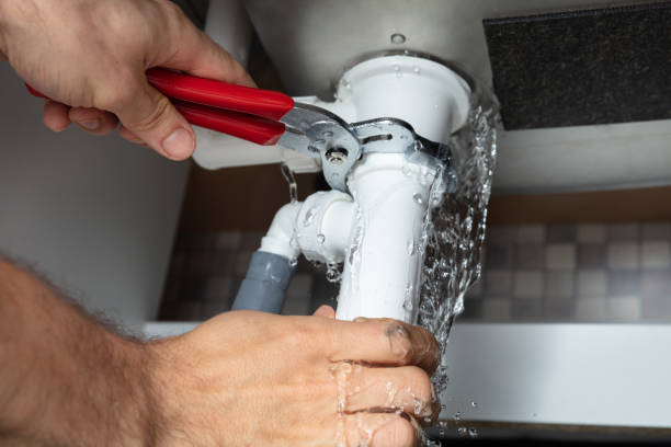 Best Sewage cleanup and water damage restoration  in Genesee, CO