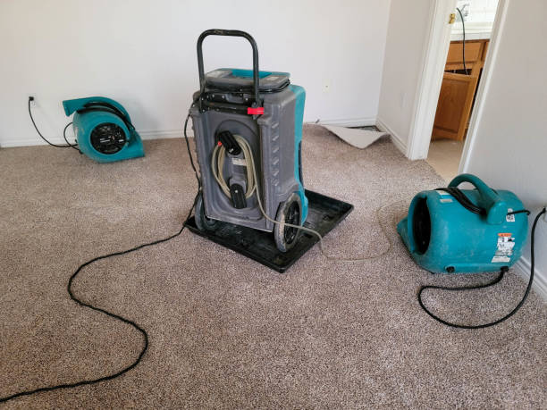 Best 24/7 water damage repair  in Genesee, CO