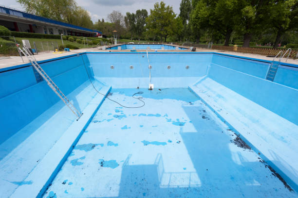Best Professional water damage repair  in Genesee, CO