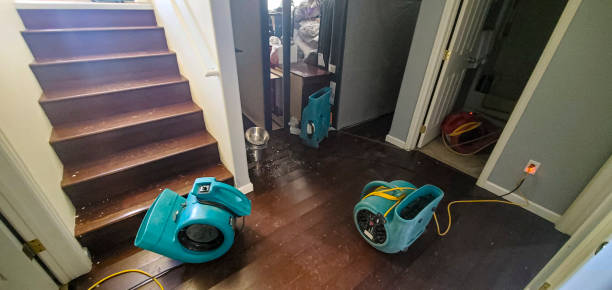 Best Water damage cleanup near me  in Genesee, CO