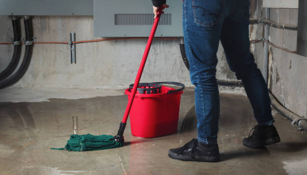 Best Commercial water damage restoration  in Genesee, CO