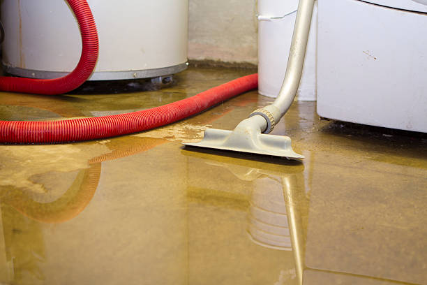 Best 24-hour water damage restoration  in Genesee, CO