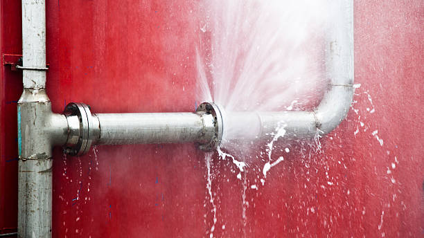 Best Professional water damage repair  in Genesee, CO