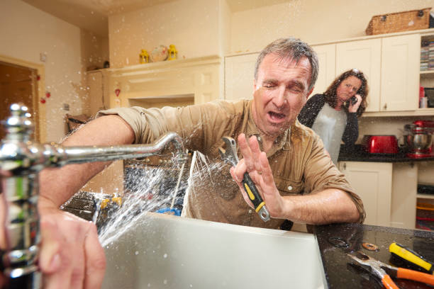 Best Flood damage cleanup  in Genesee, CO
